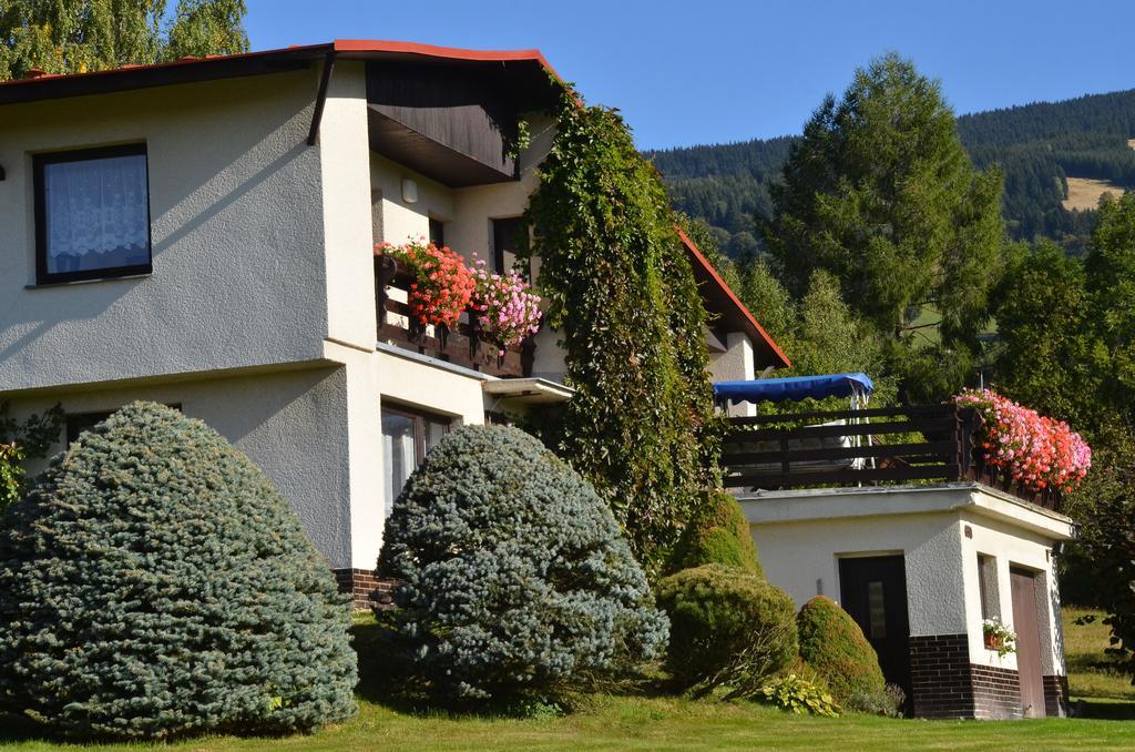 Apartman Braun Rokytnice nad Jizerou Oda fotoğraf