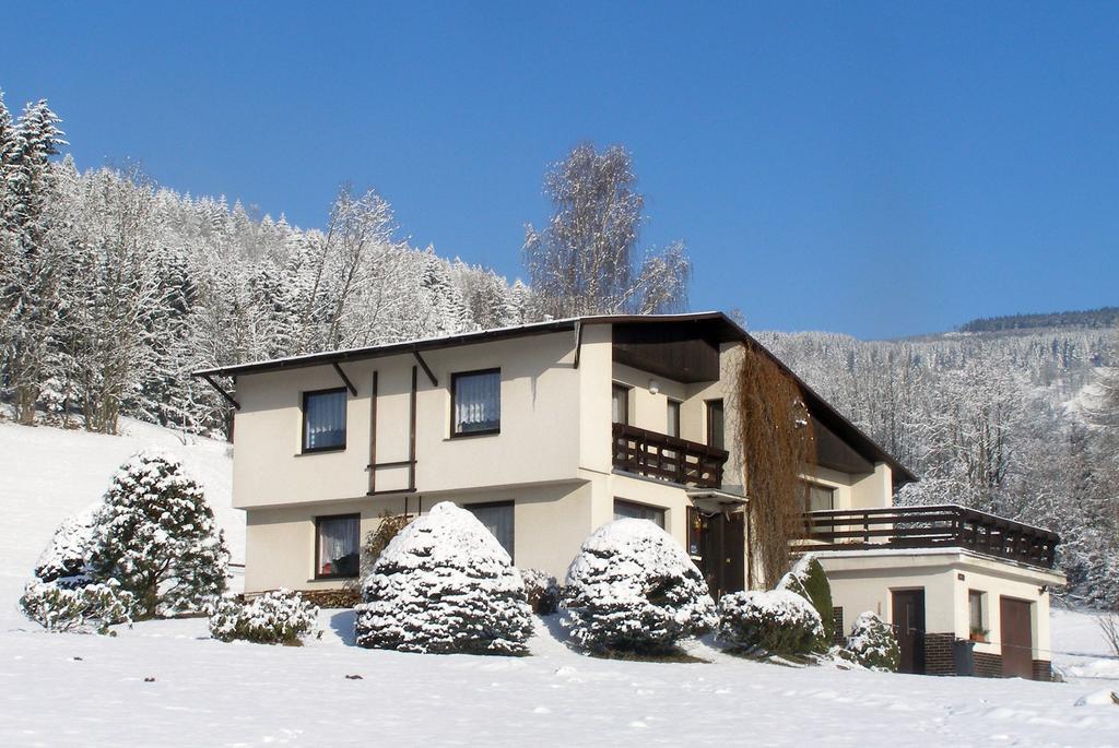 Apartman Braun Rokytnice nad Jizerou Oda fotoğraf